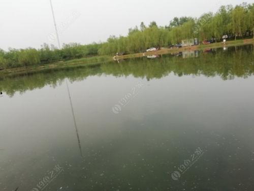 老范钓鱼爆料视频下载,视频爆料背后的精彩瞬间