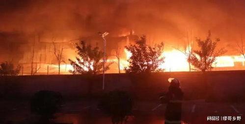 南阳最新爆料事件视频,视频揭露惊人真相，事件引发社会关注