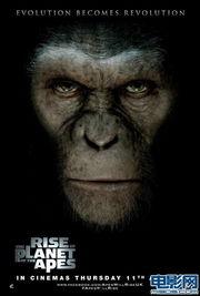 猿人崛起1在线观看,进化之路——探寻人类起源的惊心动魄之旅