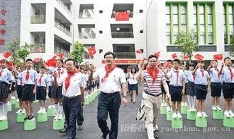 爆料阳春市学校事件视频,真相与反思