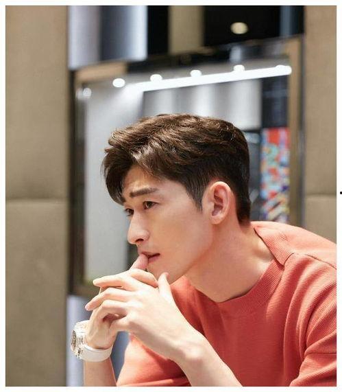 爆料娱乐圈张翰,揭秘明星背后的故事