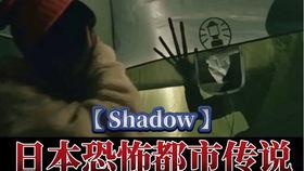 庐江爆料某野货哥视频,探寻民间珍稀野味背后的故事