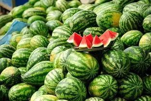 网红吃瓜名字怎么取好听,网红吃瓜名字创意盘点