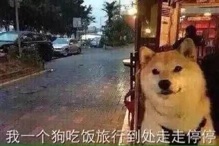 娱乐圈惊天大爆料女主,女主身份揭秘，真相令人震惊！