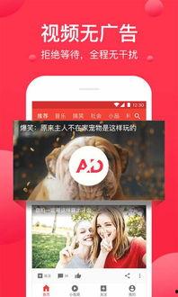 西瓜视频乐娱爆料,西瓜视频最新动态揭秘