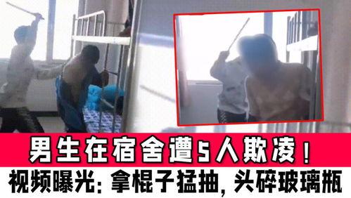 爆料男生宿舍视频,一场意外的视频爆料引发的热议风暴