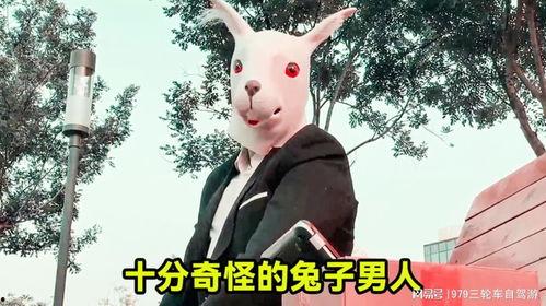 戴兔子头套的娱乐爆料,娱乐圈幕后真相大揭秘