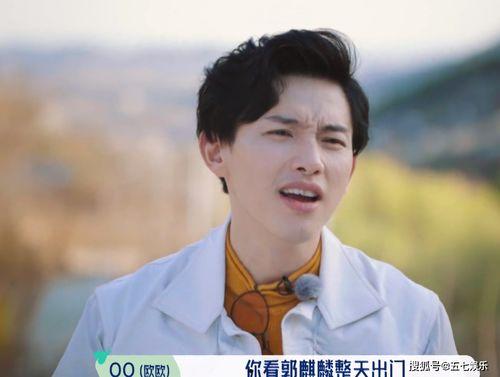 桃花坞圈内爆料,揭秘明星幕后故事与真实情感