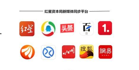 东北新闻网爆料,揭秘重大事件背后真相